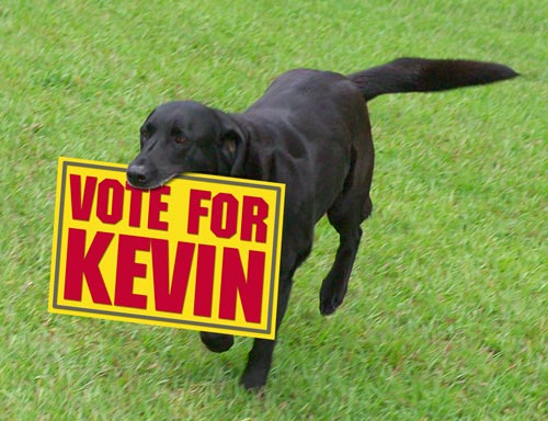 vote_for_kevin_social.jpg